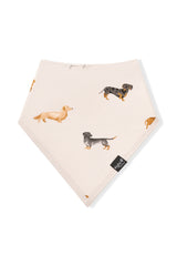 Bib in Dachshund