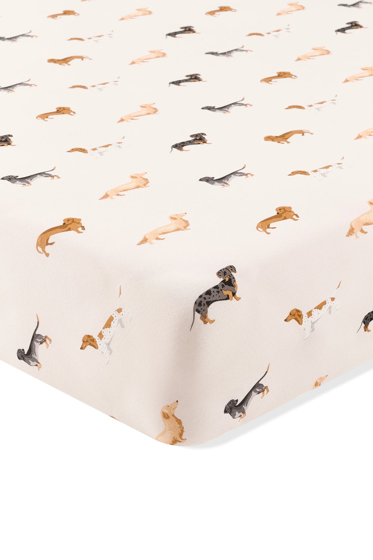 Twin Sheet in Dachshund